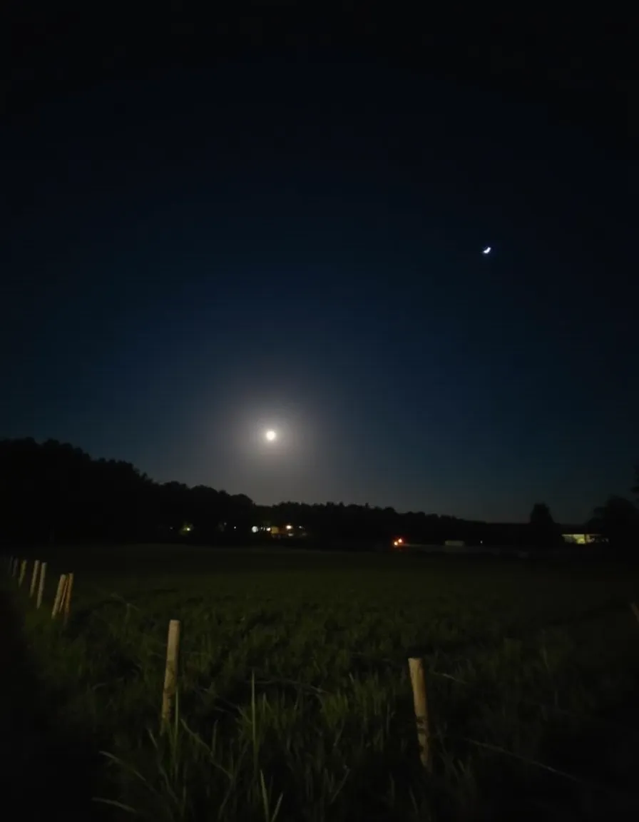 Improved Nighttime Outside